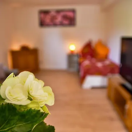 Wohnung Mit Wohlfuehlcharakter Идар-Оберштайн Экстерьер фото