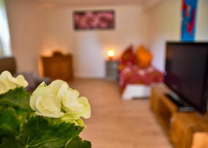 Wohnung Mit Wohlfuehlcharakter