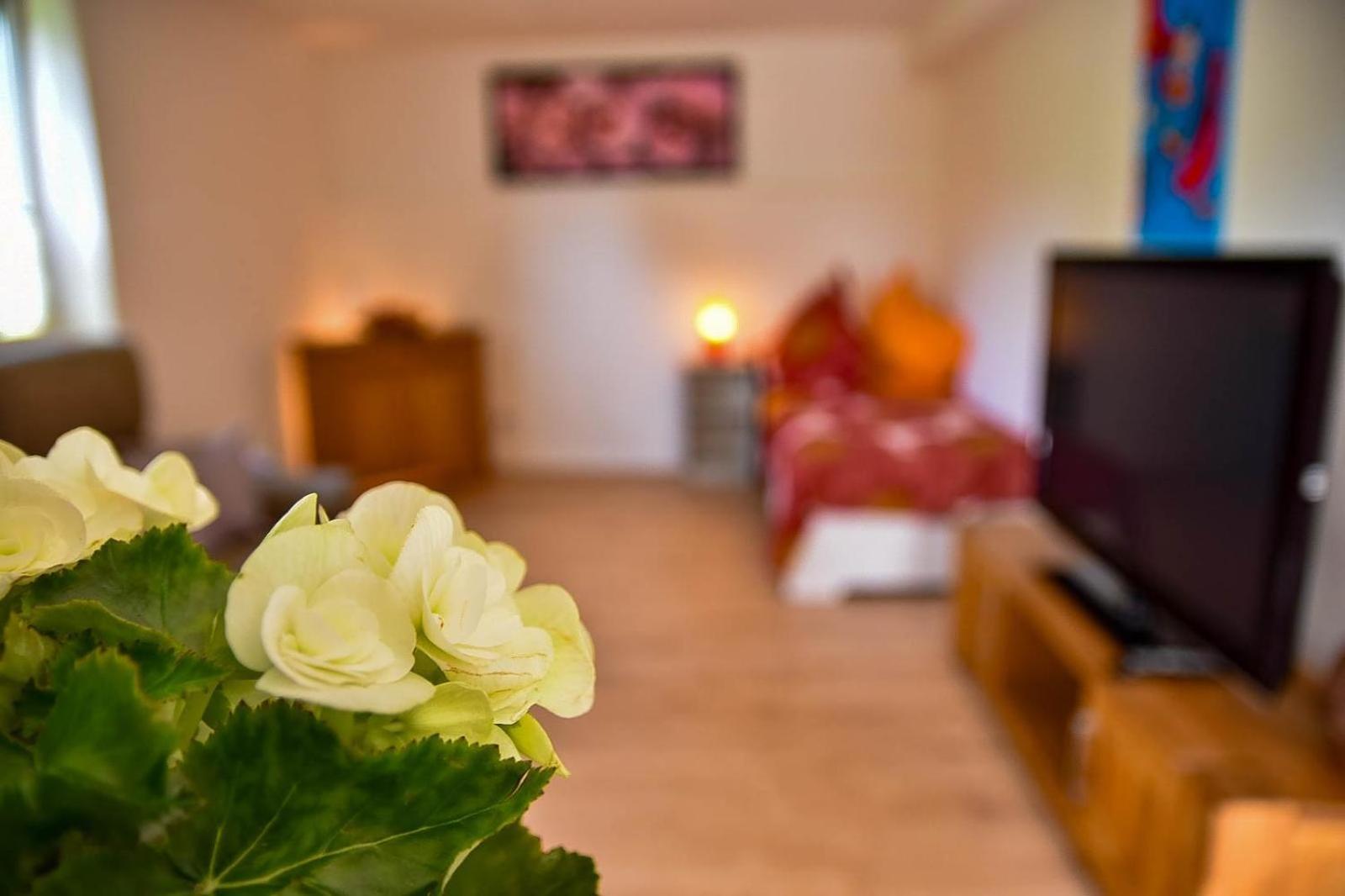 Apartment Mit Wohlfuehlcharakter *